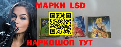 a pvp Краснознаменск
