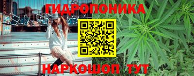 индика Краснодар