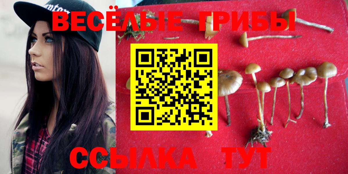 Лиски  Псилоцибиновые грибы GOLDEN TEACHER  Псилоцибиновые грибы Cubensis  Вход с VPN 