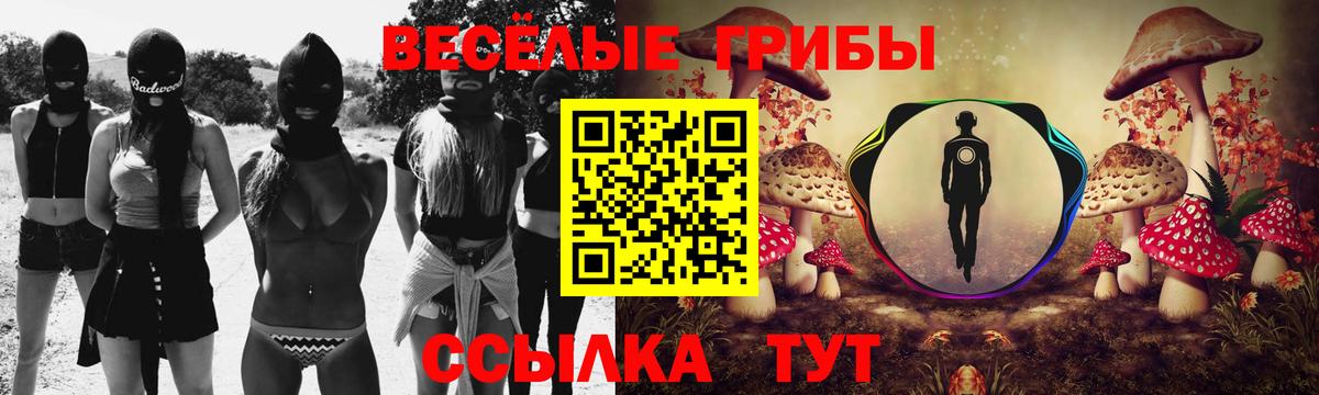 Галлюциногенные грибы Psilocybine cubensis Лиски
